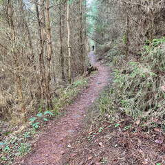 24-02-29 10-19-36 8820